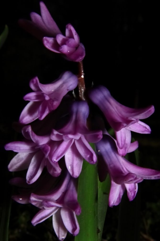 2011 04 14 IMG 27913